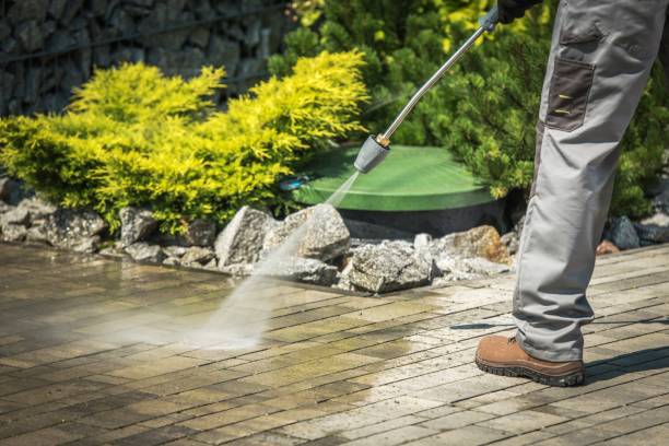 Best Brick and Stone Cleaning in Thorndale, TX