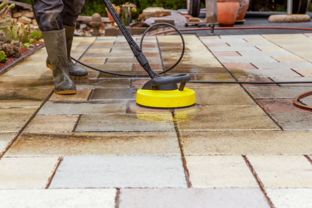Best Fence Cleaning and Maintenance in Thorndale, TX